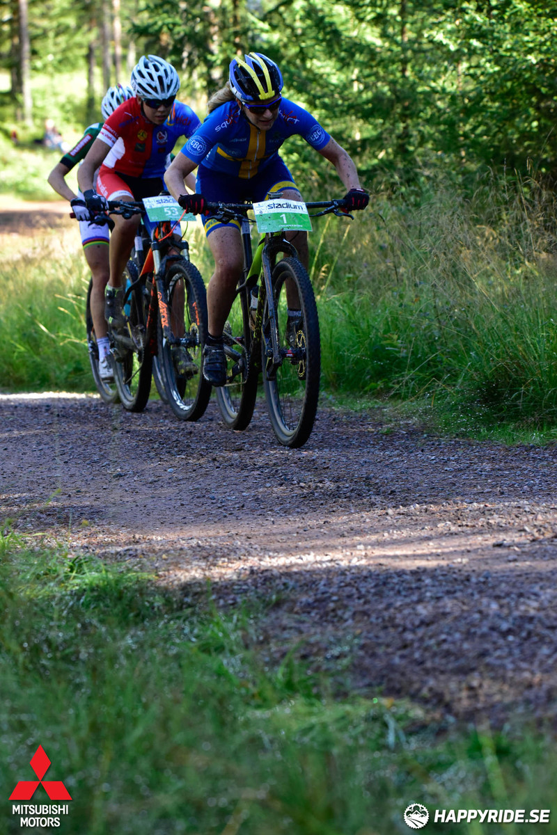 Bild från Cykelvasan 2016